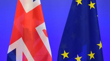 Le vote négatif des députés britanniques mercredi sur une clause concernant Erasmus donne peu d’espoirs quant à la poursuite du programme Erasmus après la période de transition post-Brexit. 