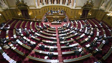 L'hémicycle du Sénat à Paris [Joël Saget / AFP/Archives]