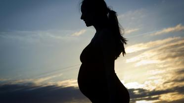 Une femme enceinte pose le 19 mars 2011 à Ygos-Saint-Saturnin (Sud-Ouest) [LOIC VENANCE / AFP/Archives]