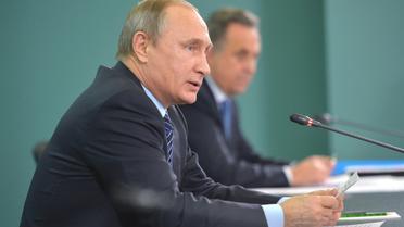 Le président russe Vladimir Poutine le 11 novembre 2015 à Sotchi [ALEXEI DRUZHININ / RIA NOVOSTI/AFP]
