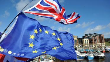 Le gouvernement britannique redoublait lundi d'efforts pour tenter de rallier les députés eurosceptiques à l'accord de Brexit de la Première ministre Theresa May [Andy Buchanan / AFP]
