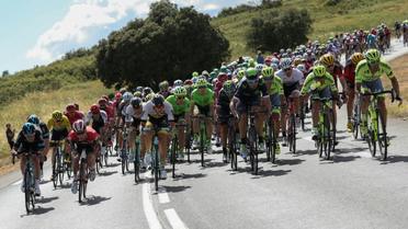 Le peloton du Tour de France groupé lors de la 11e étape en direction de Montpellier, le 13 juillet 2016 [KENZO TRIBOUILLARD / AFP]