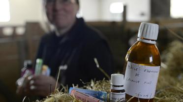 L'éleveuse Sandrine Lizaga et ses tubes d'huiles essentielles et de comprimés homéopathiques, à Bourdeaux près de Valence, le 14 janvier 2014 [Philippe Desmazes / AFP/Archives]