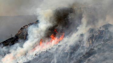 Incendie près du village de Rodes le 11 août 2016 dans les Pyrénées orientales [RAYMOND ROIG / AFP]