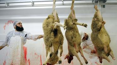 Des employés préparent des moutons avant l'Aïd al-Adha (fête du sacrifice musulmane) dans un abattoir du Mans le 4 octobre 2014  [JEAN-FRANCOIS MONIER / AFP/Archives]