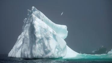 Un iceberg qui s'aventure plus loin dans les eaux canadiennes de la baie de Bonavista le 29 juin 2019 à Terre-Neuve [Johannes EISELE / AFP/Archives]