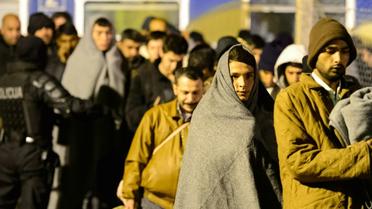 Des migrants arrivent à Sentilj le 4 novembre 2015 [Jure Makovec / AFP]