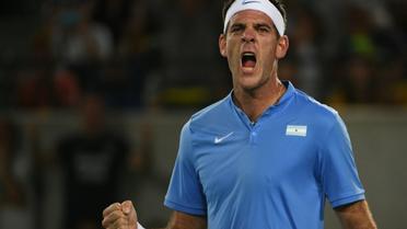 L'Argentin Juan Martin Del Potro victorieux du Serbe Novak Djokovic aux JO de Rio, le 7 août 2016 [Roberto SCHMIDT / AFP]