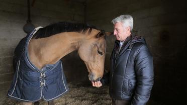 Le cavalier français Roger-Yves Bost et sa jument Myrtille Paulois dans son box le 25 novembre 2013 à Barbizon [Jacques Demarthon / AFP/Archives]