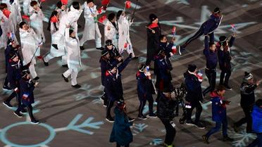 La délégation française (d) défile lors de la cérémonie de clôture des JO de Pyeongchang, le 25 février 2018 [JAVIER SORIANO / AFP]
