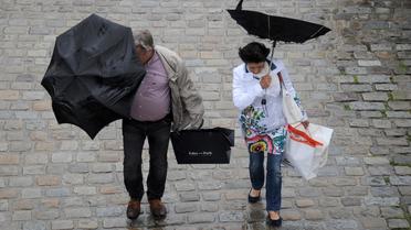 Un couple sous la pluie le 22 juin 2013 à La Rochelle [Xavier Leoty / AFP/Archives]