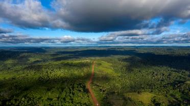 Vue aérienne de la route transamazonienne près de Medicilandia, le 13 mars 2019 au Brésil [Mauro Pimentel / AFP/Archives]
