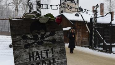 Une rose déposée à l'entrée du camp d'Auschwitz le 27 janvier 2013 [Janek Skarzynski / AFP/Archives]