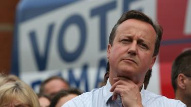 David Cameron lors d'un meeting le 22 juin 2016 à Birmingham [Geoff CADDICK / POOL/AFP]