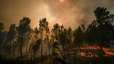 Un pompier lutte contre un incendie, le 22 juillet 2019 à Casais de Sao Bento, dans le centre du Portugal [PATRICIA DE MELO MOREIRA / AFP]