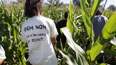Un faucheur volontaire anti-OGM, dans un champ de maïs, le 04 août 2007 à Paillet (sud-ouest) [Jean-Pierre Muller / AFP/Archives]