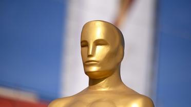 La 92e édition des Oscars pourrait réserver son lot de surprises. [Robyn Beck / AFP]