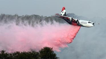 Un avion largue un produit retardateur de flammes lors d'une opération destinée à éteindre des feux de forêt à Penrose, dans l'Etat australien de Nouvelle-Galles-du-Sud, le 10 janvier 2020 [SAEED KHAN / AFP]