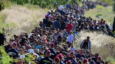 Des migrants encadrés par la police hongroise traversent la campagne le 21 septembre 2015 après avoir franchi la frontière entre la Croatie et la Hongrie près de Zakany [ATTILA KISBENEDEK / AFP]