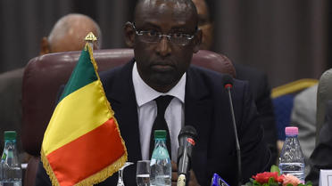 Abdoulaye Diop, ministre des Affaires étrangères, de l'intégration africaine et de la coopération étrangère du Mali le 16 juin 2014 à Alger [Farouk Batiche / AFP/Archives]