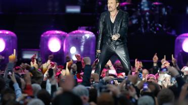 Le chanteur Johnny Hallyday lors d'un concert à Namur, le 23 juin 2013 [Bruno Fahy / BELGA/AFP/Archives]