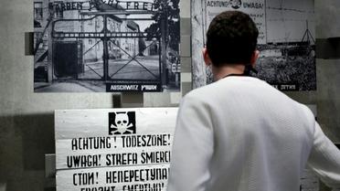 Un visiteur regarde une exposition consacrée aux camps de concentration nazis, dont celui d'Auschwitz, au mémorial de Yad Vashem, le 20 janvier 2020 à Jérusalem [Emmanuel DUNAND / AFP/Archives]