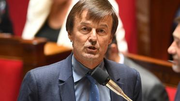 Le ministre de la Transition écologique, Nicolas Hulot, le 3 juillet 2018 à l'Assemblée nationale. [Eric FEFERBERG / AFP]