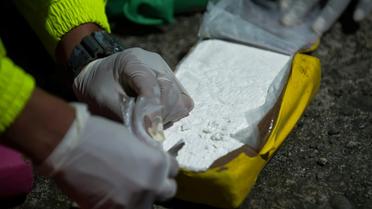 La production de cocaïne a augmenté de 5,9% en 2018 par rapport à 2017 en Colombie, principal pays producteur de cette drogue, selon l'ONU [Raul Arboleda / AFP/Archives]