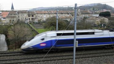 La SNCF a investi 100 millions d'euros pour équiper 300 rames TGV en wifi d'ici fin 2017 [JEAN-CHRISTOPHE VERHAEGEN / AFP/Archives]