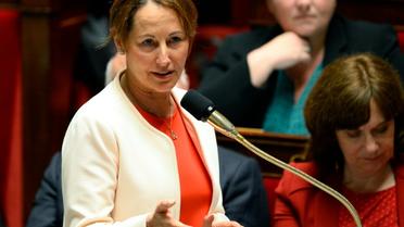 La ministre de l'Ecologie Ségolène Royal le 21 mai 2016 à l'Assemblée nationale à Paris [BERTRAND GUAY / AFP/Archives]