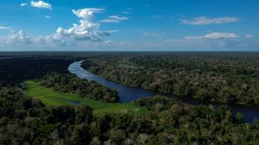 La forêt amazonienne dans l'Etat brésilien de l'Amazonas, le 28 juin 2018 [Mauro Pimentel / AFP/Archives]