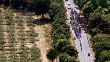 Le peloton du Tour de France lors de la 1ère étape, le 29 juin 2013 entre Porto-Vecchio et Bastia  [Pascal Pochard Casabianca / POOL/AFP]