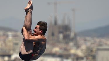 Le Français Matthieu Rosset lors de la finale du tremplin à 1 m, aux Mondiaux à Barcelone, le 22 juillet 2013 [Javier Soriano / AFP Photo]