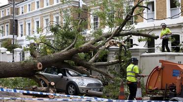 Une voiture écrasée par un arbre dans une rue de Londres après la tempête, le 28 octobre 2013
