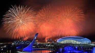 Des feux d'artifice viennent éclairer le ciel de Sotchi, le 23 février 2014 au-dessus du stade olympique, lors de la cérémonie de clôture des Jeux d'hiver [Alexander Nemenov / AFP]