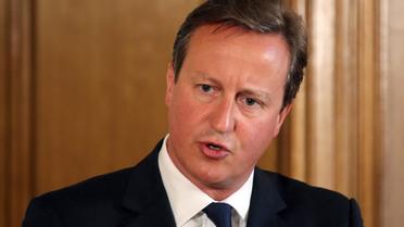 Le Premier ministre David Cameron, le 29 août 2014 lors d'une conférence de presse à Londres [Paul Hackett / Pool/AFP]
