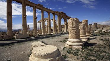Une partie de l'ancienne oasis de Palmyre, à 215 km au nord-est de Damas, désertée par les touristes, le 14 mars 2014 [Joseph Eid / AFP]