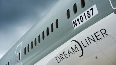 Un Boeing 787 Dreamliner à Hampshire (sud de l'Angleterre), le 9 juillet 2012  [Adrian Dennis / AFP/Archives]