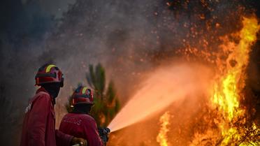 Des pompiers interviennent à Talhadas près d'Oliveira de Frades en Espagne, le 26 août 2013 [Patricia de Melo Moreira / AFP]