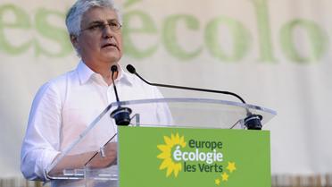 Le ministre de l'Ecologie Philippe Martin  devant les responsables d'EELV, réunis à Marseille pour leurs journées d'été, le 22 août 2013 [Franck Pennant / AFP/Archives]