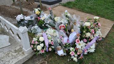 Des fleurs déposées sur la tombe d'Adélaïde, à Boulogne-sur-Mer le 9 décembre 2013 [Pauline Bayart / AFP]