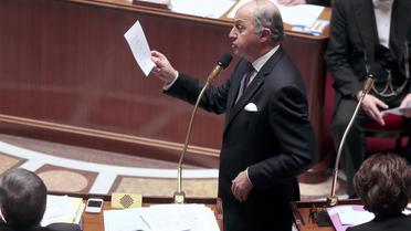 Le ministre des Affaires étrangères à l'Assemblée Nationale, le 17 décembre 2013 à Paris  [Jacques Demarthon / AFP]