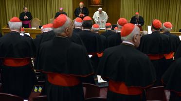 Le pape François s'adresse aux cardinaux du monde entier réunis au Vatican, le 20 février 2014 à Rome [Gabriel Bouys / AFP]