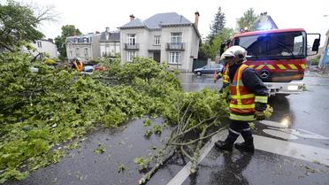Les pompiers dégagent une route après la chute d'un arbre suite à de violentes intempéries, le 21 mai 2014 à Limoges [Pascal Lachenaud / AFP]