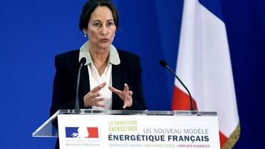La ministre de l'Ecologie Ségolène Royal, le 18 juin 2014 à Paris [Stéphane de Sakutin / AFP/Archives]