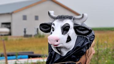 Une manifestante vient enterrer symboliquement la ferme dite des Mille Vaches à Drucat (Somme), le 29 juin 2014 [Philippe Huguen / AFP]