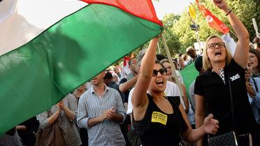 Une femme tient un drapeau palestinien lors d'une manifestation de soutien à Gaza le 16 juillet 2014 à Paris [Pierre Andrieu / AFP/Archives]