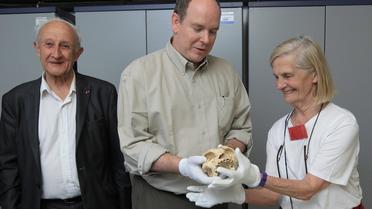 Le prince Albert de Monaco (c) découvre le crâne de l'Homme de Tautavel aux côtés des paléontologues Henri et Marie-Antoinette de Lumley (g), le 22 juillet 2014 à Tautavel [Raymond Roig / AFP]