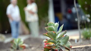 Un nouveau jardin écologique installé devant une maison de Los Angeles, le 17 juillet 2014 [Robyn Beck / AFP/Archives]