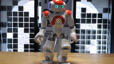 Un robot Nao le 18 octobre 2012 au siège d'Aldebaran Robotics à Paris [Eric Piermont / AFP]